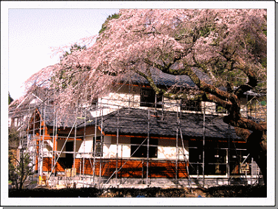 �ؑ��a���Z��